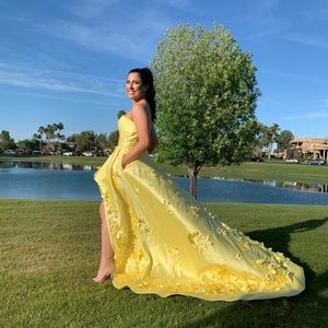 2019 Sherri hill dress